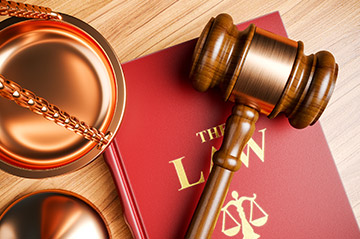 Appellate Court Litigation